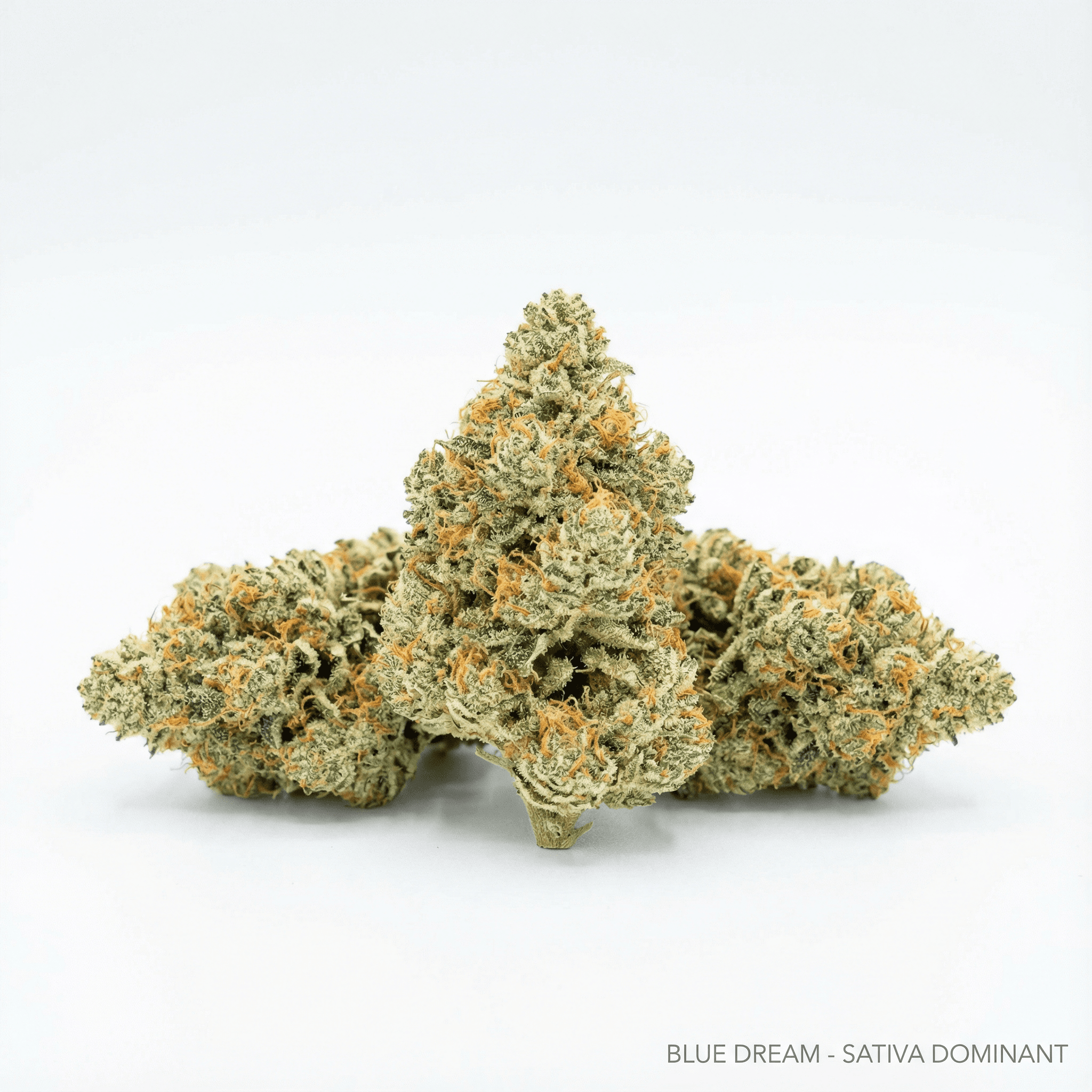 Blue Dream